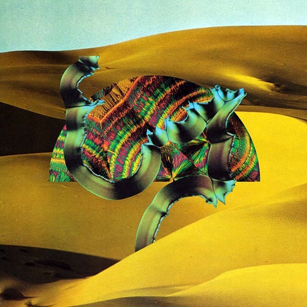 Django Django – Django Django