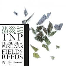 These New Puritans – Field Of Reeds